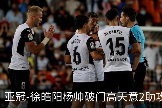 亚冠-徐皓阳杨帅破门高天意2助攻 申花2-1淡滨尼流浪者